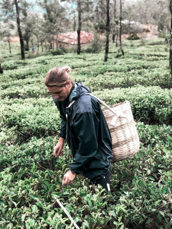 Lost & Found Hostels - Mandaramnuwara Mandaran Newara Eksteriør bilde